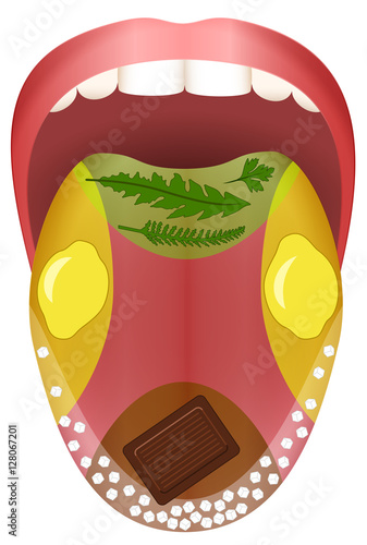 Tongue - four taste areas - bitter, sour, sweet and salty represented by herbs, lemons, chocolate and grains of salt.