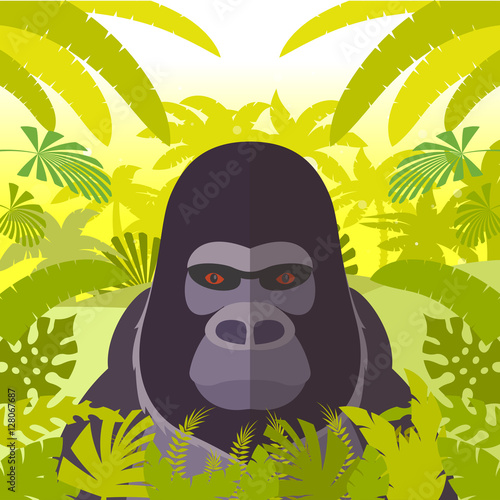Gorilla on the Jungle Background