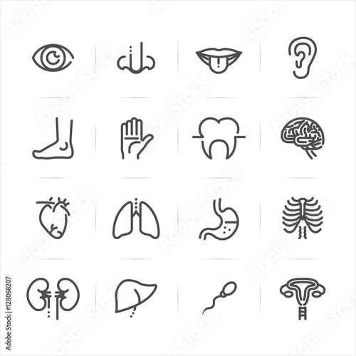 Human Anatomy icons with White Background 