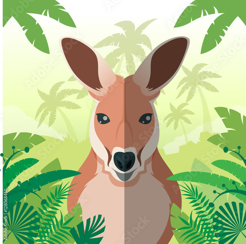 Kangaroo on the Jungle background