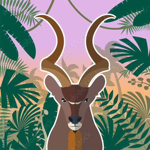 Koodoo on the Jungle Background