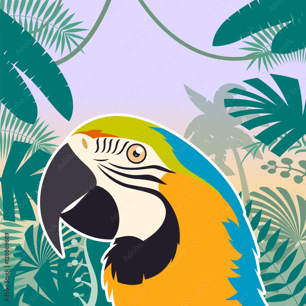 Macaw on the Jungle Background Macaw on the Jungle Background