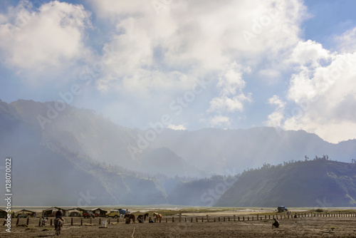 Lifes under ground of Bromo crater photo