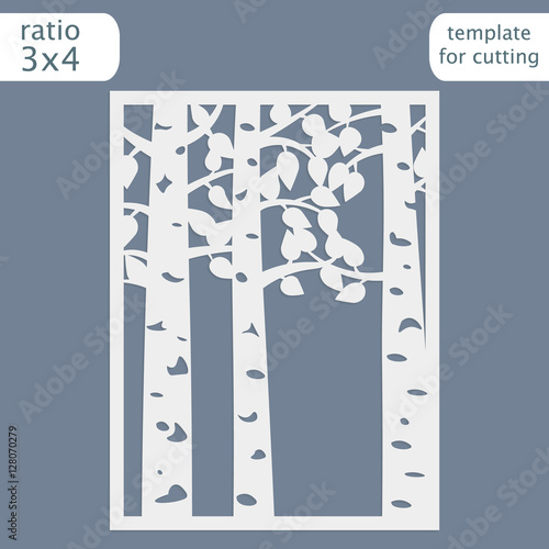 Laser cut wedding invitation card template.  Cut out the paper card with lace pattern.  Greeting card template for cutting plotter. Picture birch trees. Vector.