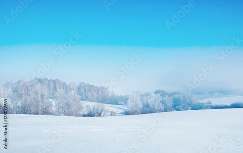 Beautiful winter landscape in frosty day and snowy forest on horizon