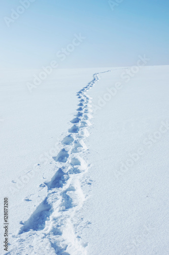 Winter landscape with human footprints running to horizon along the empty snowy field