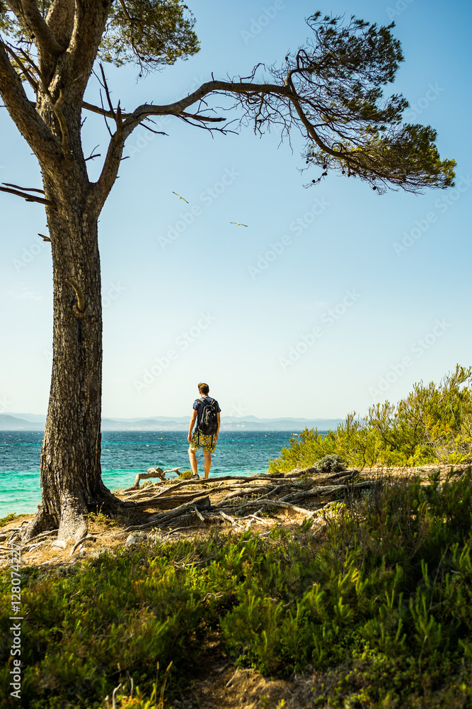 Adventurer Standing Under Big Tree Looking at Horizon by the Beach with Blue Sky