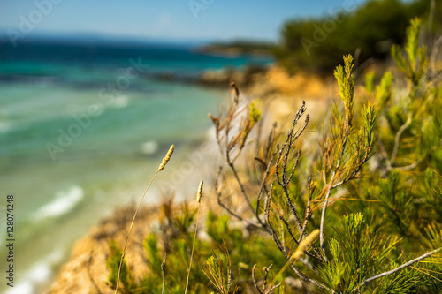 Windy Summer Vacation by the Beach in France