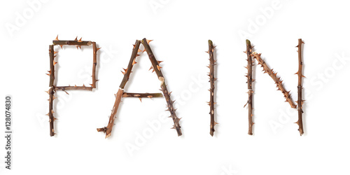 word pain made up of thorny rose stems