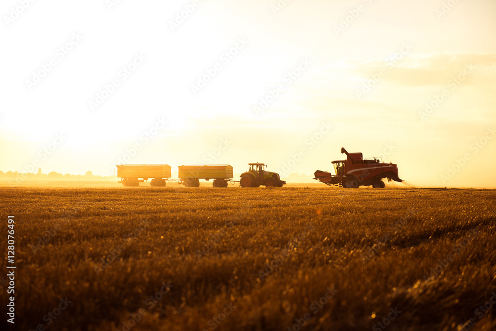 Fototapeta premium Tractor on a countryside