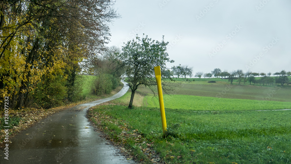 Fototapeta premium Gas Pipeline