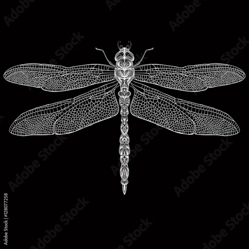 Zentangle stylized dragonfly . Hand-drawn vector illustration.