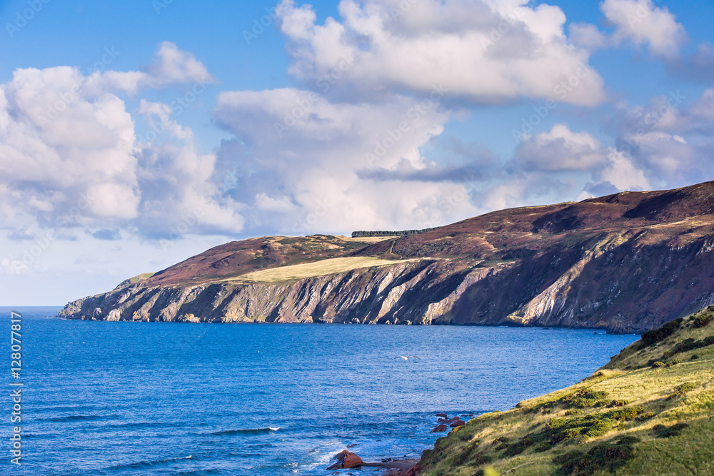 Naklejka premium View over coastline of Scottish Borders