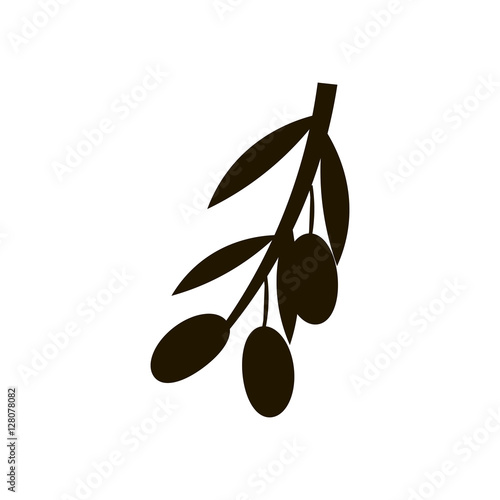 Olive branch with green olives on a white background healthy organic mediterranean fruit vector illustration.