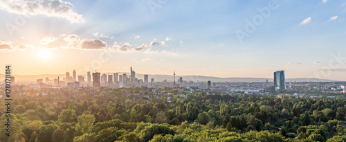 Frankfurt Skyline photo