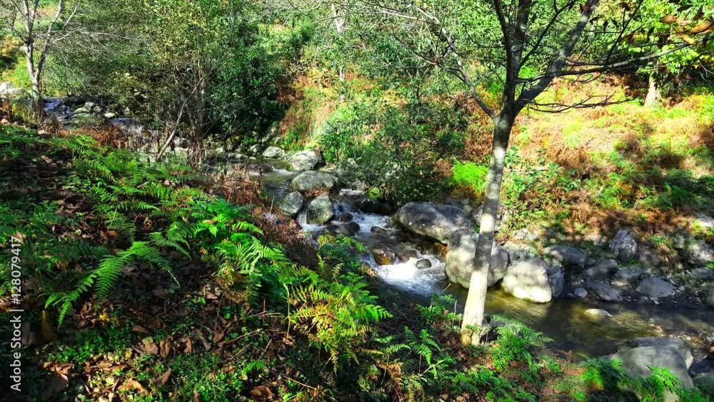 Wild mountain river in Georgia