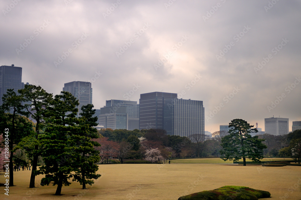 Obraz premium Parc de Tokyo au Japon