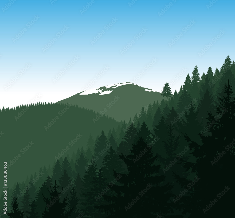 Fototapeta premium Panorama of mountains. Silhouette of mountains with snow and coniferous trees on the background of blue sky. Natural tones. Can be used as eco banner.