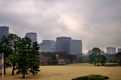 Parc de Tokyo au Japon © Damien Guillaume