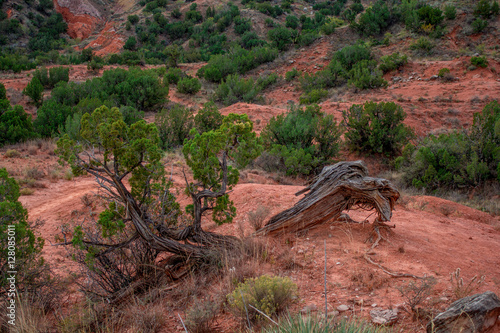 Palo Duro Canyon