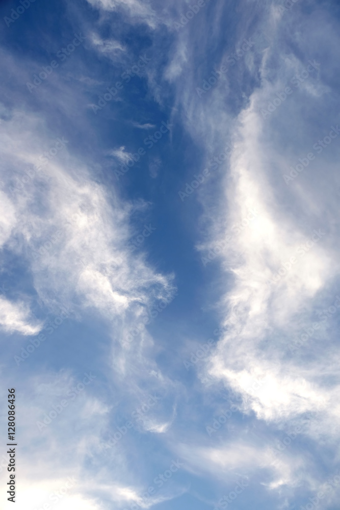 Beautiful celestial landscape with white clouds high in the stratosphere on a sunny summer as background day vertical photo