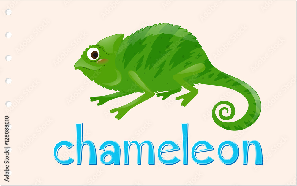 Wordcard with wild chameleon Wordcard with wild chameleon