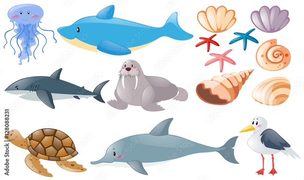 Fototapeta premium Different types of sea animals