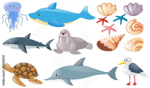 Different types of sea animals