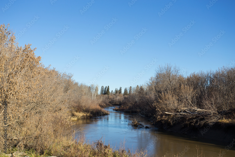 A gentle winding stream carving through an autumn forest A gentle winding stream carving through an autumn forest