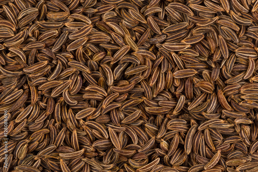 Close up caraway seeds Close up caraway seeds