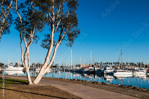 Pathway through the Chula Vista Bayfront park with boats moored in the marina. © sherryvsmith