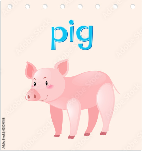 Flashcard with word and picture of pig © brgfx