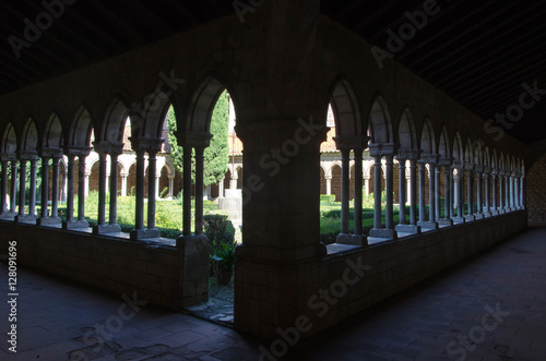 abbayes de Arles sur Tech