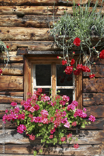 Fototapeta Naklejka Na Ścianę i Meble -  Hüttenfenster in Tirol