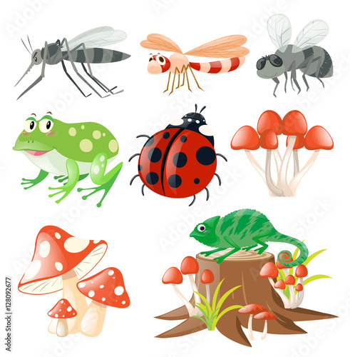 Different types of insects © brgfx