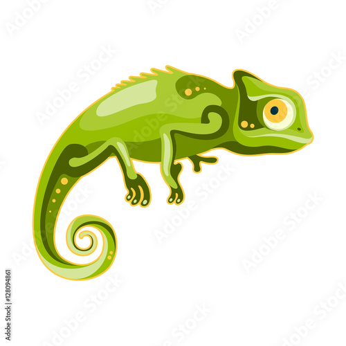 green chameleon on white background