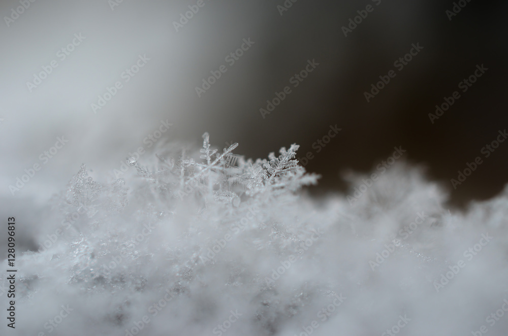 Tiny snowflakes close up Tiny snowflakes close up