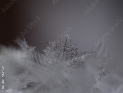 Tiny snowflakes close up © cypherlou