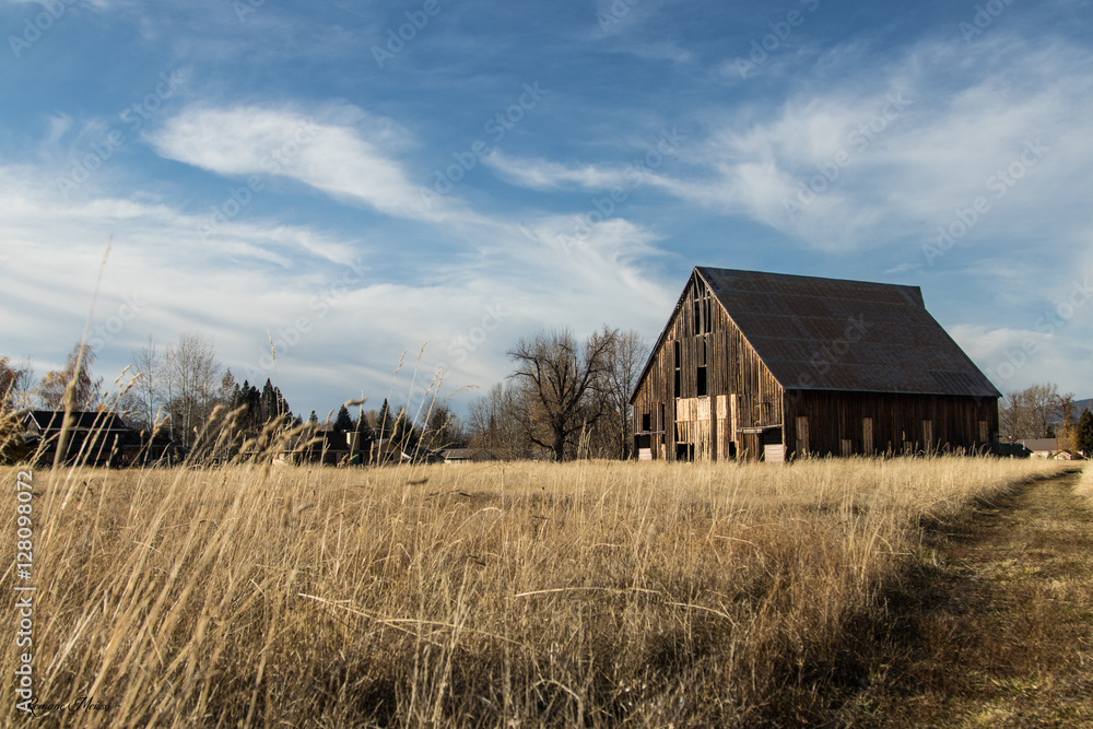 Obraz premium The Barn