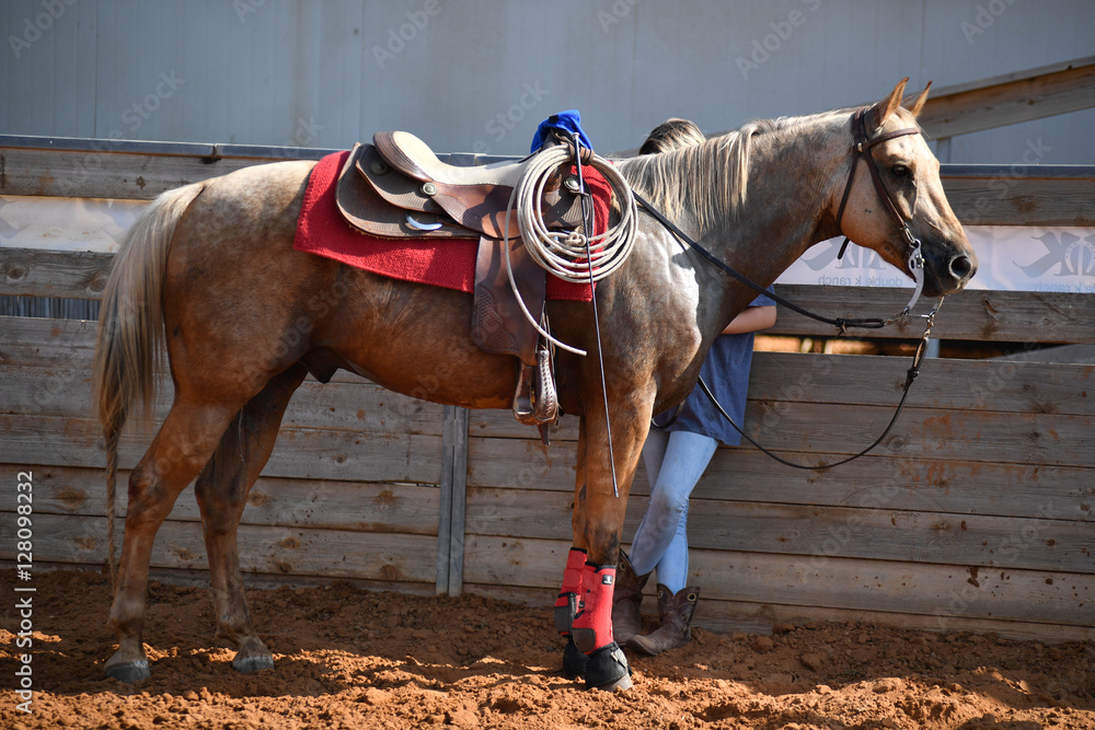 Tired rider resting near a horse Tired rider resting near a horse