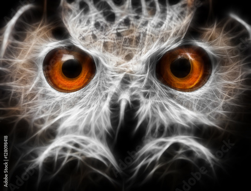 Owls Portrait. owl eyes - abstract painting, fractal