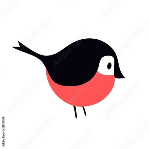 Bullfinch colorful nature winter bird pyrrhula holiday wild animal vector.