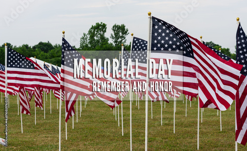 American Flags in Field Memorial Day