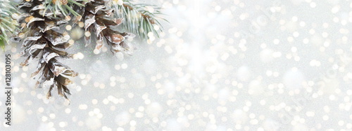 Pinecones and fir tree on sparkling background.