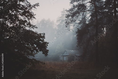 Early dark misty morning in forest village with trees in front and old wooden village houses in distance, drops of dew on needles and grass, dusk photo