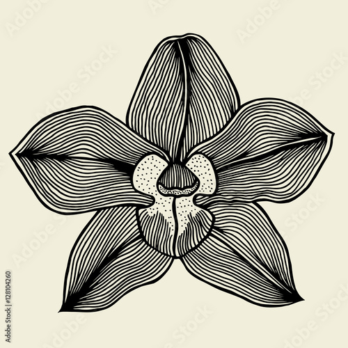 floral orchid vintage