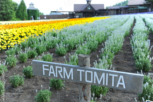 Nakafurano Farm Tomita Japan photo