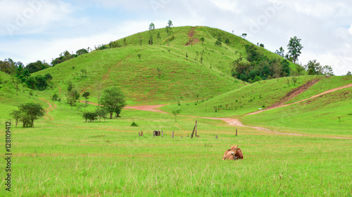 Phu Khao Ya (Grass Hill) in rainy season, Ranong photo