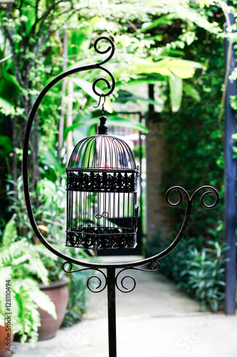 Classic bird cage on natural background.
