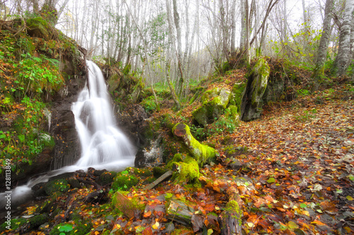 Waterfall in the beech Busmayor, Leon, Spain photo